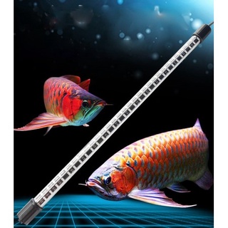 Đèn Led XML Plus 4 Hàng 100cm - Đèn Xuanmeilong Plus Limited Chuyên Dụng Cho Cá Rồng