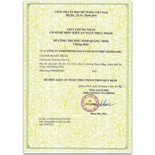 Dầu tỏi Diệp Chi Gold+