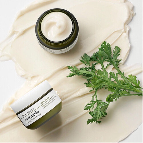 Bring Green Artemisia Calming Repair Cream 75ml 2-for-1 Set K beauty moisturizer for skin