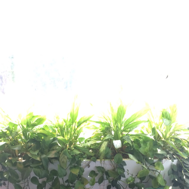 GiangHippo, Cửa hàng trực tuyến | BigBuy360 - bigbuy360.vn