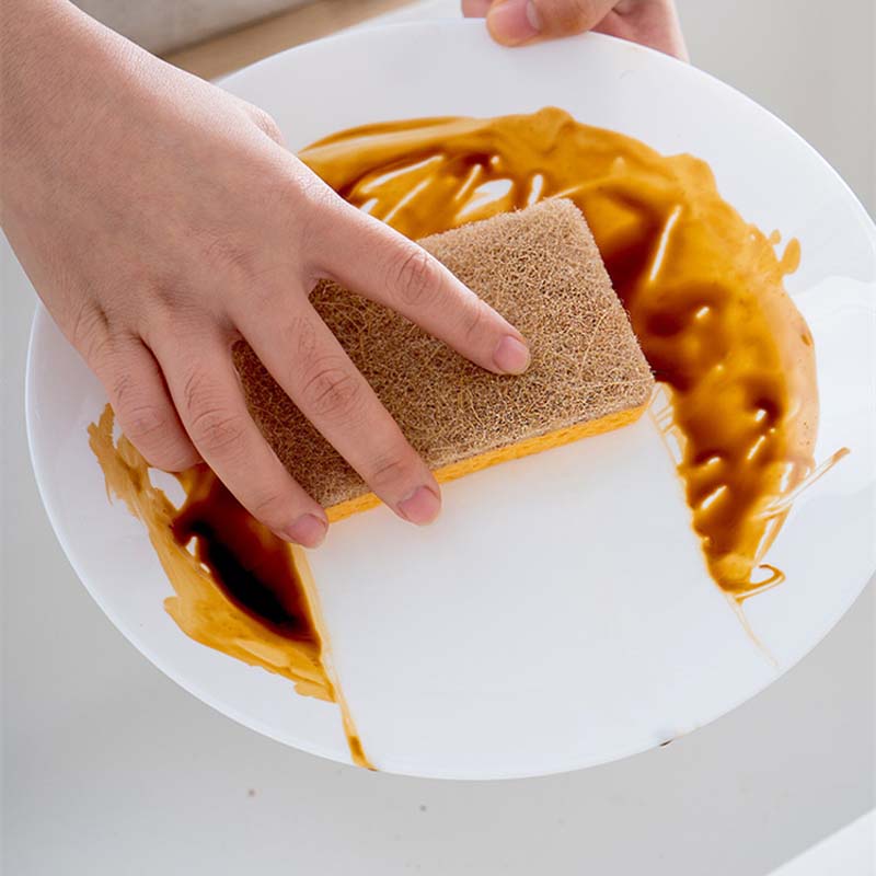 Bọt biển rửa chén bằng gỗ sồi tiện dụng cho nhà bếp