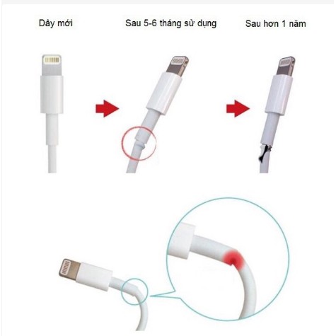 Nút Bảo Vệ Đầu Cáp Sạc Hình Thú Siêu Ngộ Nghĩnh | BigBuy360 - bigbuy360.vn