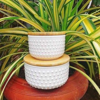Bộ 2 thố sứ cao cấp có nắp gỗ sang