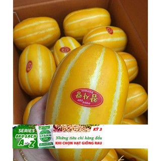 Hạt giống cây Dưa lê vàng Hàn Quốc