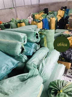 Combo 100 chậu nhựa đen C10 (25x20 cm) trồng cây