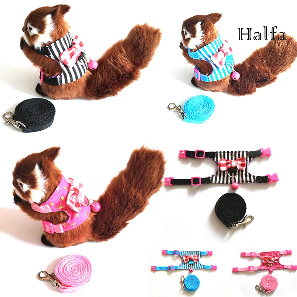 Set dây dắt và đai đeo dắt thú cưng đi dạo tiện dụng