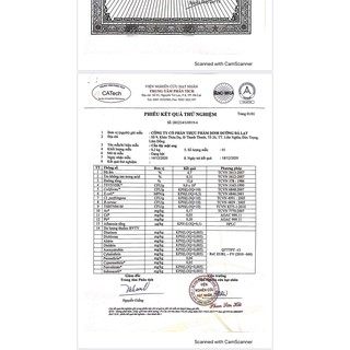 BỘT CẦN TÂY MẬT ONG DATINO