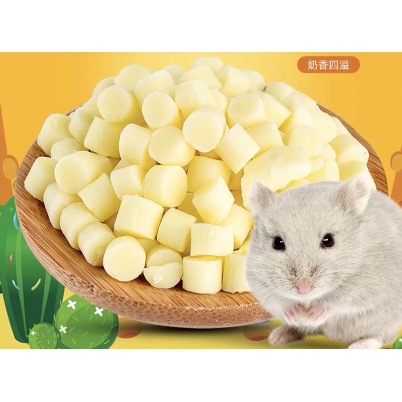 Phô mai cube, phô mai sữa bò. Thức ăn dinh dưỡng cho hamster, sóc, thỏ, bọ