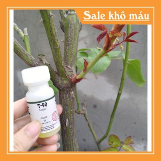 Bimshop89 kích mầm t90 ⭐freeship⭐ bôi đâu lên mầm ở đó thaost93