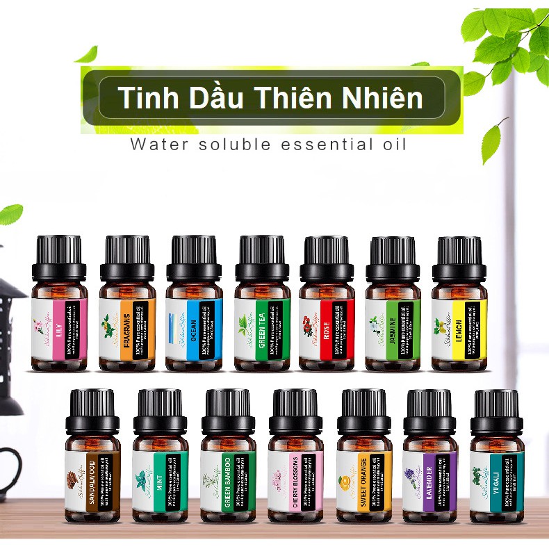 (Hot) Tinh Dầu Thiên Nhiên Nguyên Chất Dung Tích 10Ml