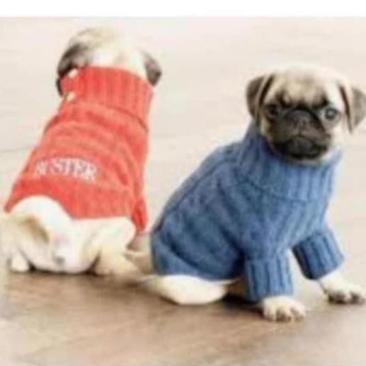 Áo banana cho cún - Maianhkg01