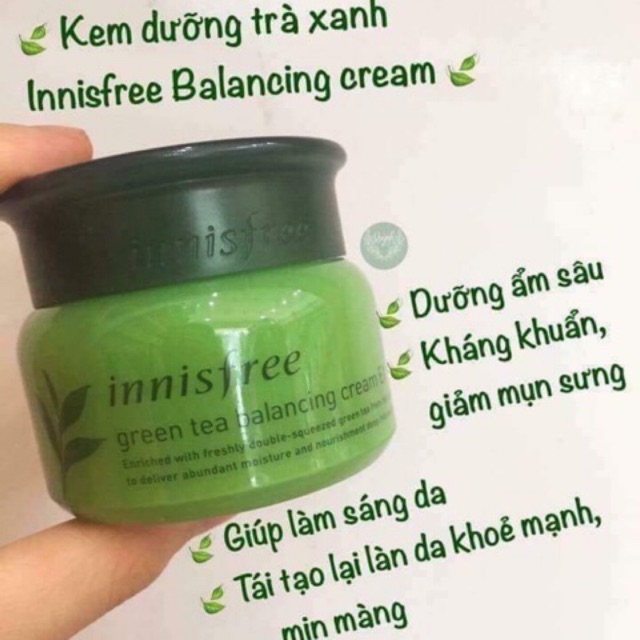 Kem dưỡng da trà xanh innsfree balancing cream