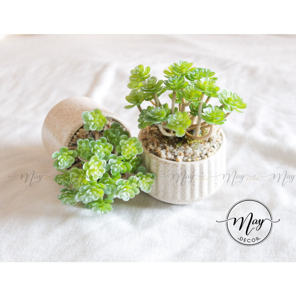 Cây giả,Sen đá tầng giả trang trí chậu vân gốm cát