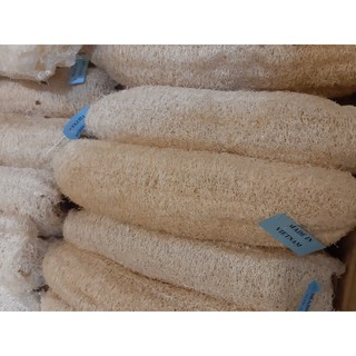 Xo muop / Xơ mướp khô