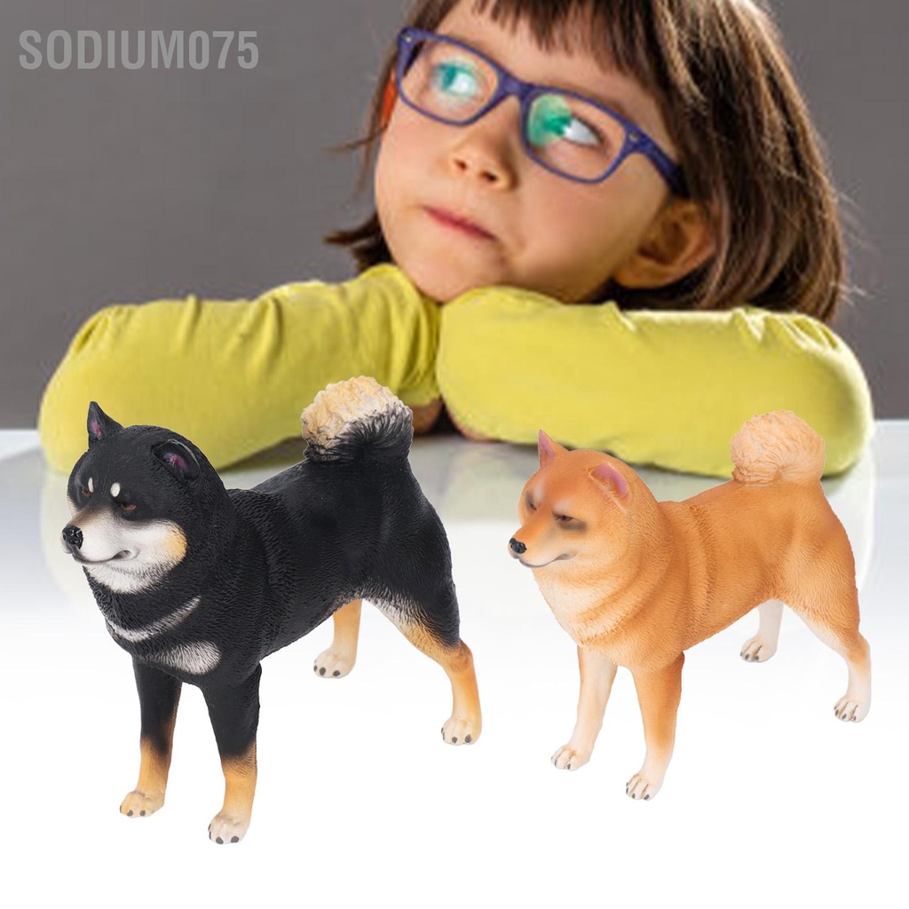 Sodium075 Dog Figurine Sống động như thật Không độc hại Đồ chơi trẻ em Mô hình vật bằng nhựa Trang trí cho Phòng ngủ Nghiên cứu