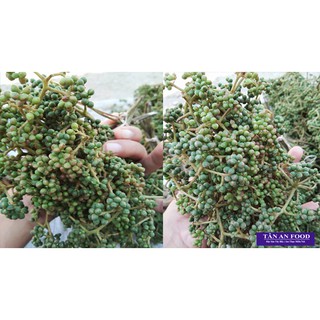 Hạt Mắc Khén Tây Bắc 500gr (Tặng 10 Hạt dổi)