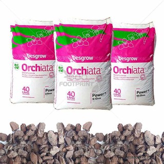 Vỏ Thông Orchiata nhập khẩu 1 kg