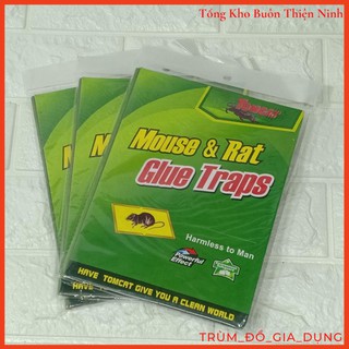 Combo 10 miếng dính chuột cao cấp