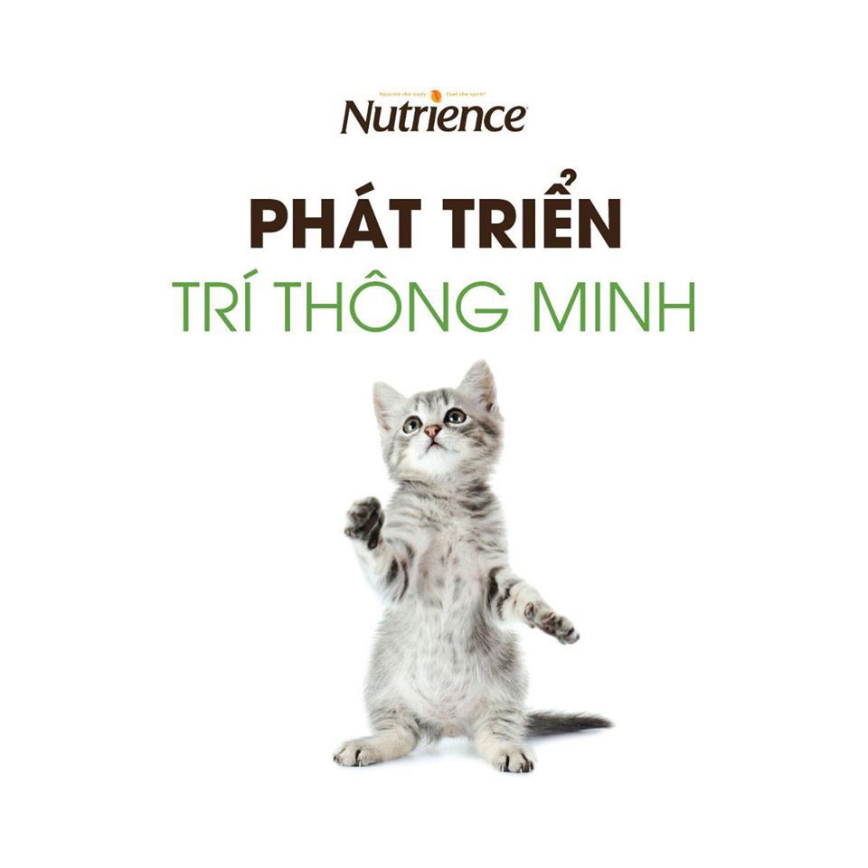 Hạt Nutrience SubZero Cho Mèo Mọi Độ Tuổi (Nhập khẩu Canada)