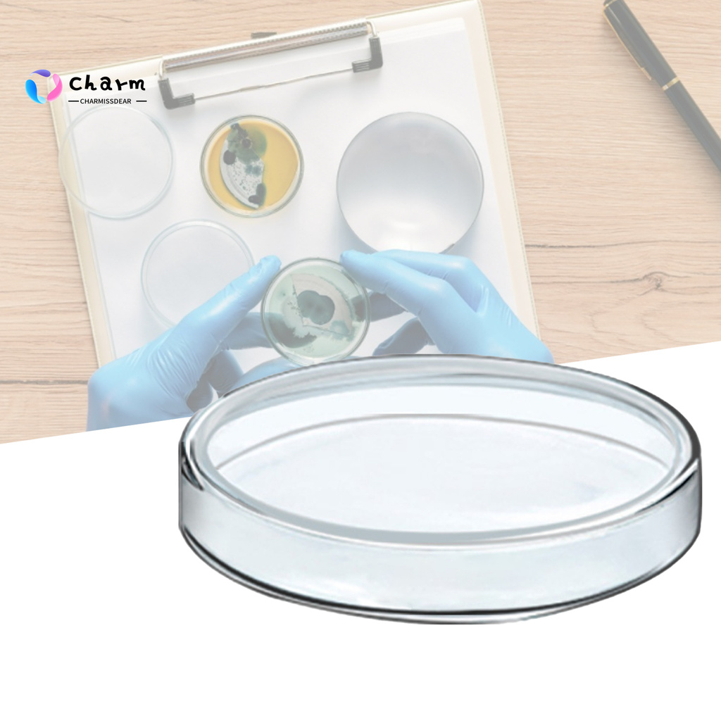 Đĩa thủy tinh trong suốt 60-100ml phù hợp cho phòng thí nghiệm