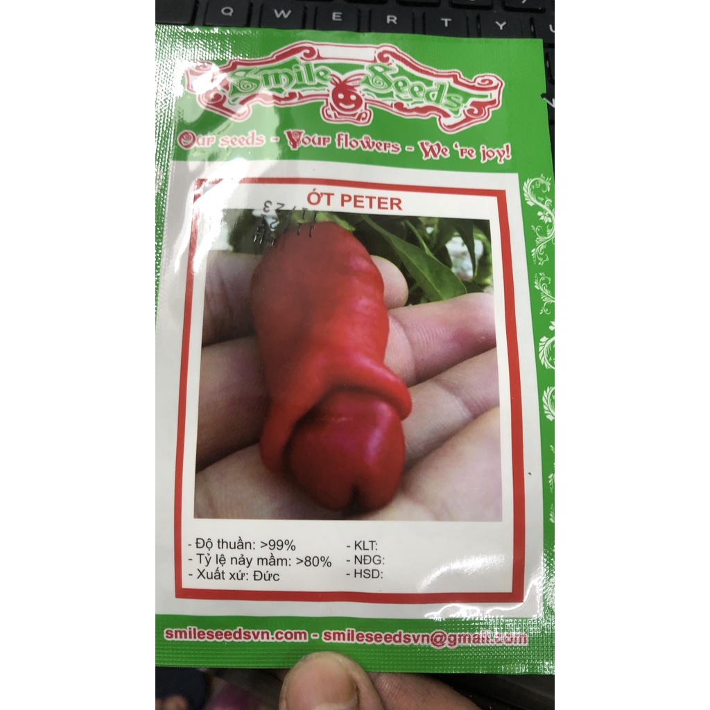 Hạt giống ớt Peter (ớt Cu tý) 5H