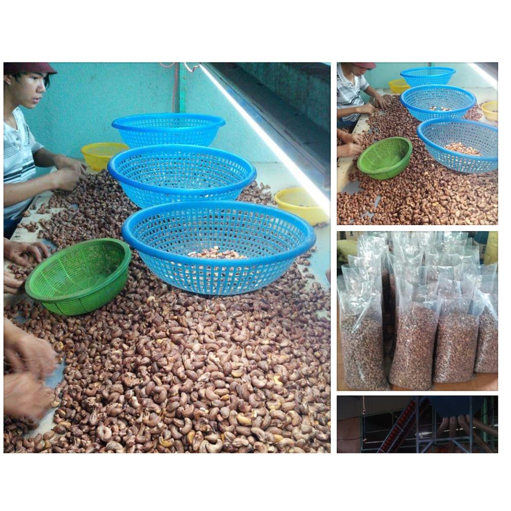 Hạt điều lụa rang muối