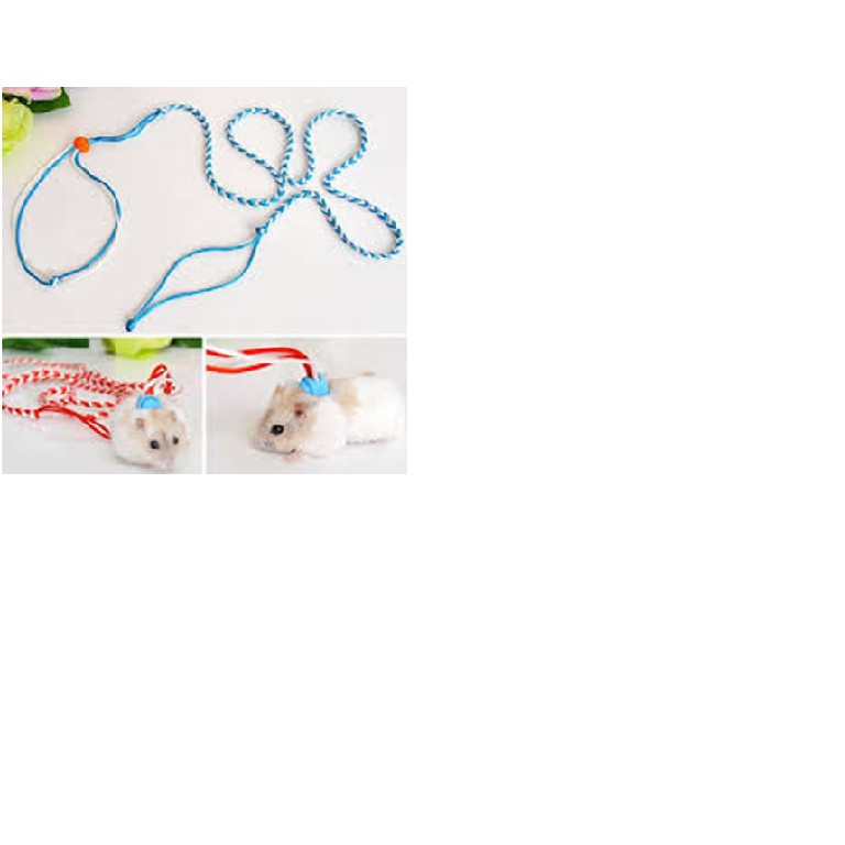 Dây dắt hamster nhiều màu