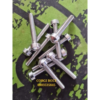 Ốc salaya đầu trụ inox 6li đủ size