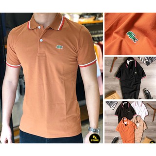 [ CHẤT LƯỢNG ] ÁO THUN XUẤT DƯ POLO CÁ SẤU CAO CẤP
