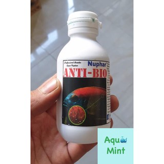 Anti bio nuphar - dung dịch xử lý túm và lắc ở cá cảnh