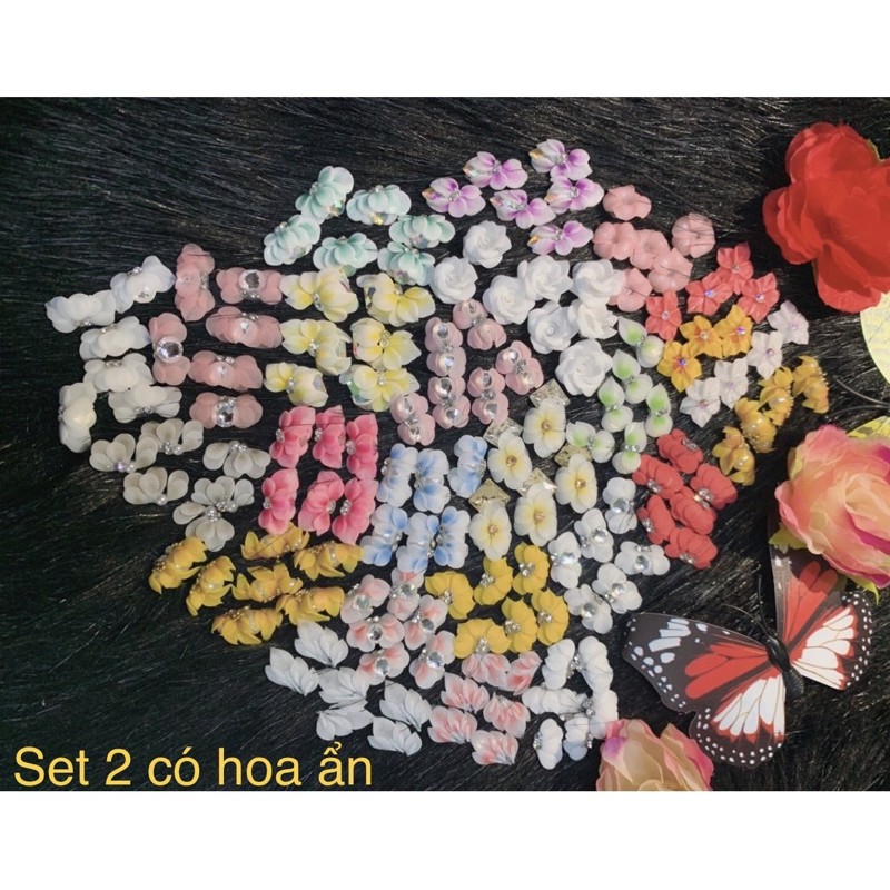 Set hoa bột sĩ 250 hoa 900k khách chọn