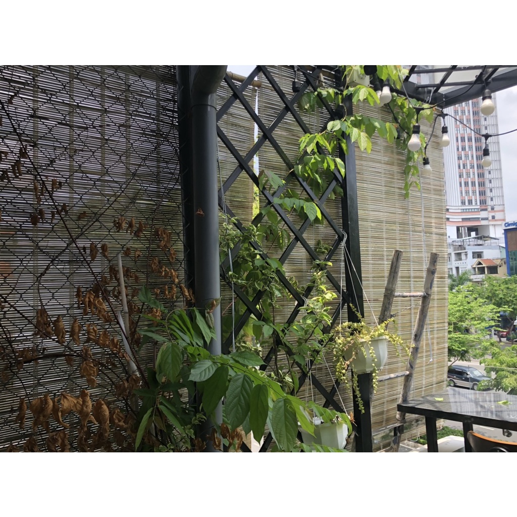 Mành rèm tre che nắng che mưa ngoài trời kích thước rộng 1,5m x cao 1m9