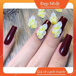 Hoa bột nail HN045