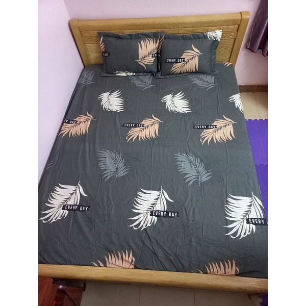 Bộ ga chun Hàn Quốc kèm 2 vỏ gối nằm cao cấp | BigBuy360 - bigbuy360.vn