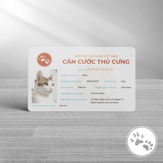 Căn cước cho thú cưng - PET ID