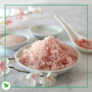 Hạt Làm Sữa - Set Yến Mạch Mix