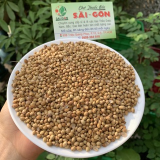 Hạt Ngò 100g