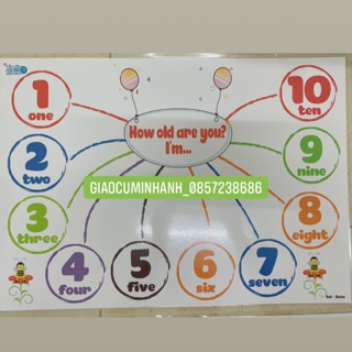 Mindmap luyện thuyết trình Family and friends Special Edition Level 2 (Size A3 ép plastics)