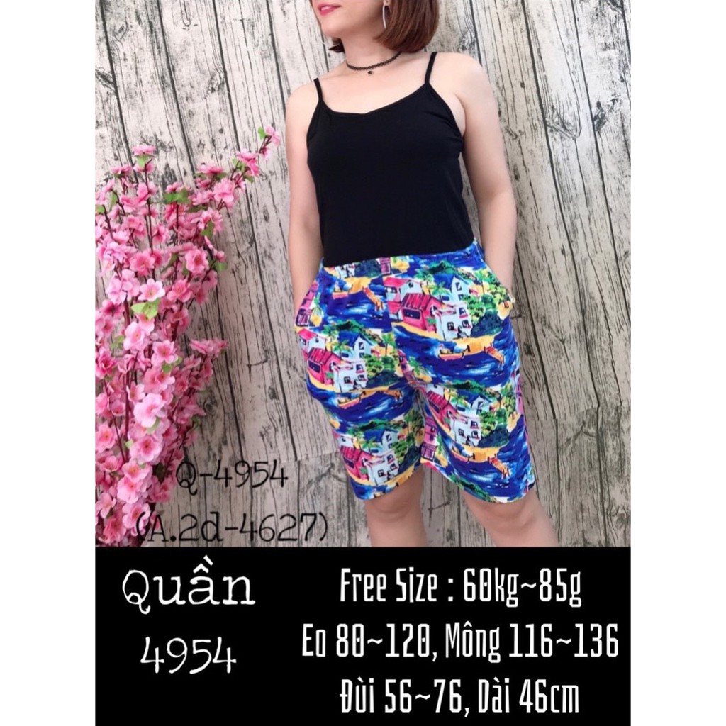 sale 4479 4954 - Combo [2Q=150k] [3Q=200k] Quần sọt short đùi mặc nhà BIG SIZE- quan-mac-nha