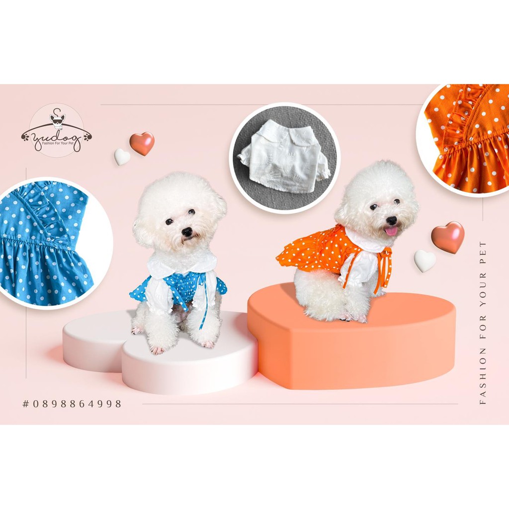 Set đầm dây bi cho thú cưng chó mèo yudog