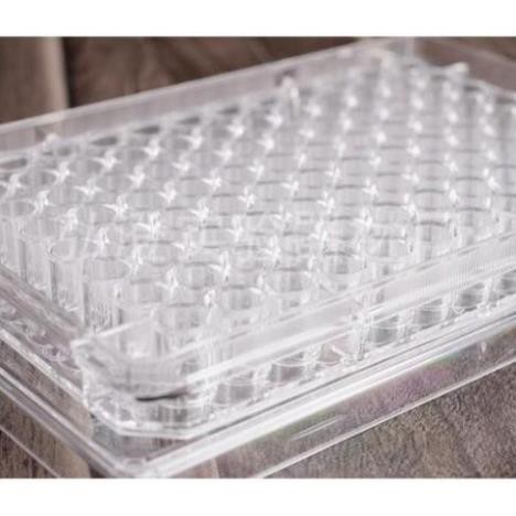 Đĩa elisa 96 giếng đáy phẳng