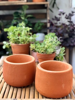 Chậu Đất Nung Da Rắn