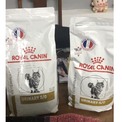 Royal canin Urinary S/O gói 1,5kg - Thức ăn cho mèo bị sỏi thận