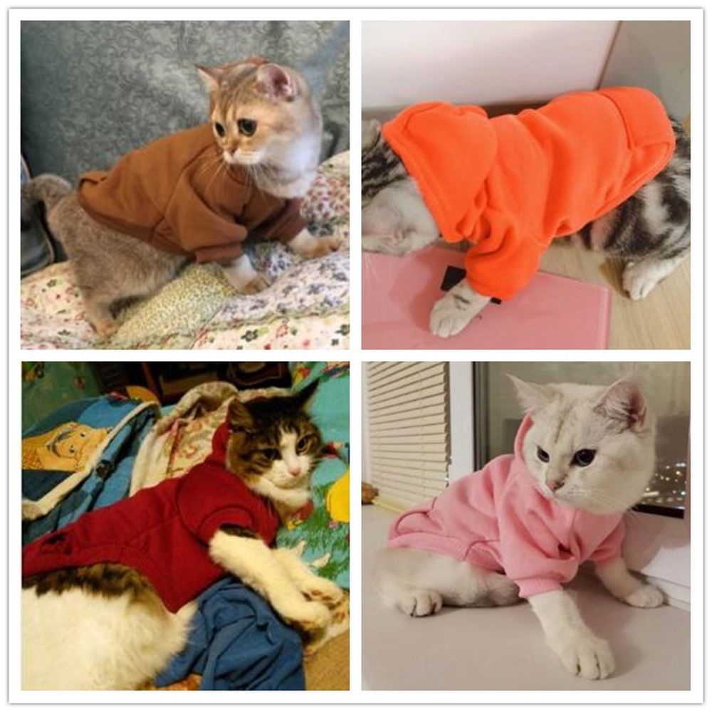 AARON1 Áo hoodie cotton màu trơn có túi giữ ấm mùa thu đông dành cho chó mèo chó mèo nhỏ