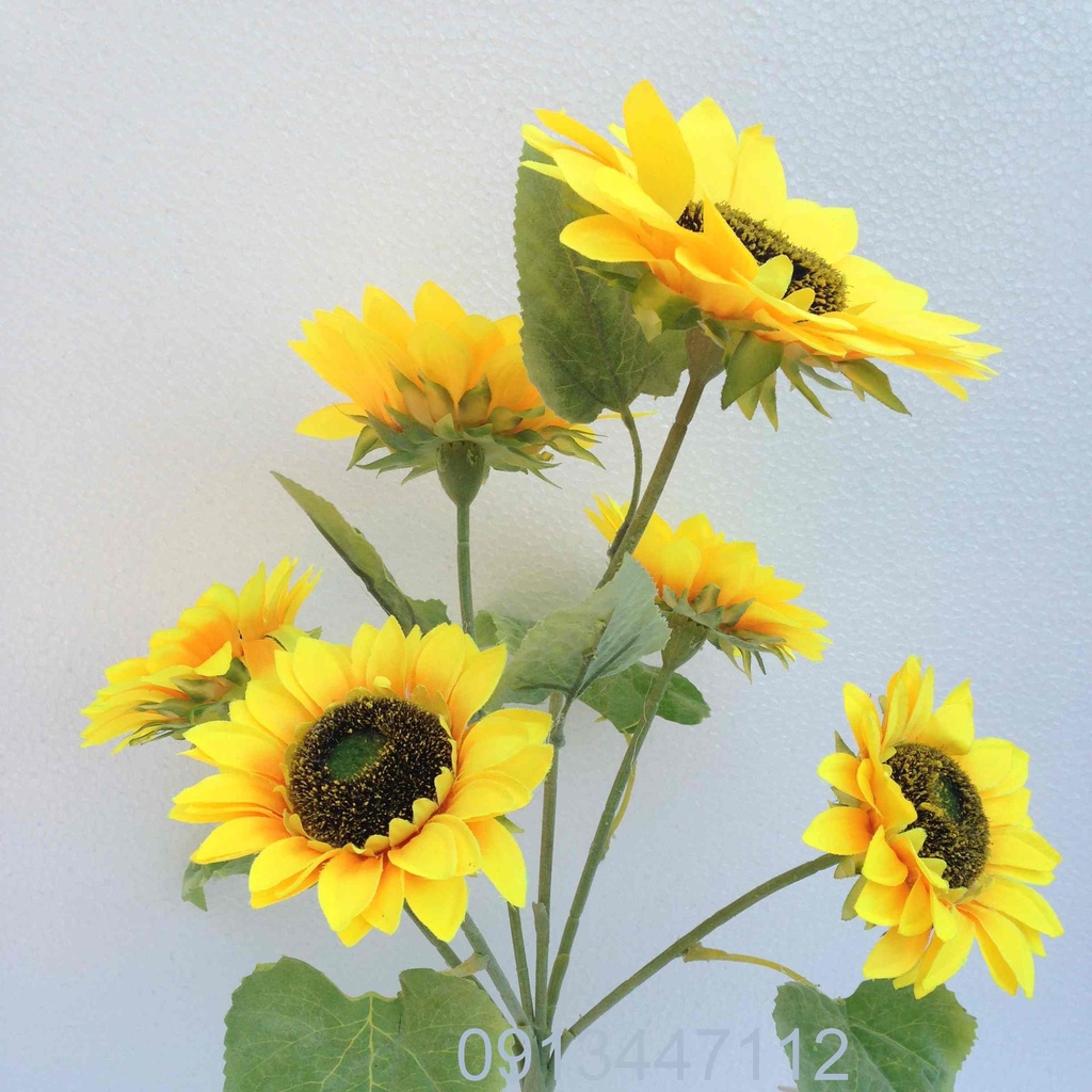 Hạt Giống Hoa Hướng Dương Siêu Bông Gói 30H