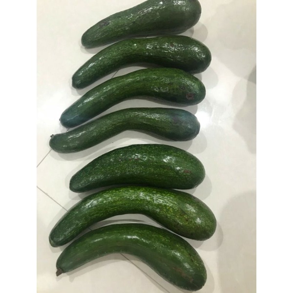 Bơ 034, bơ sáp dẻo vàng, bơ sạch đặc sản Lâm Đồng | BigBuy360 - bigbuy360.vn