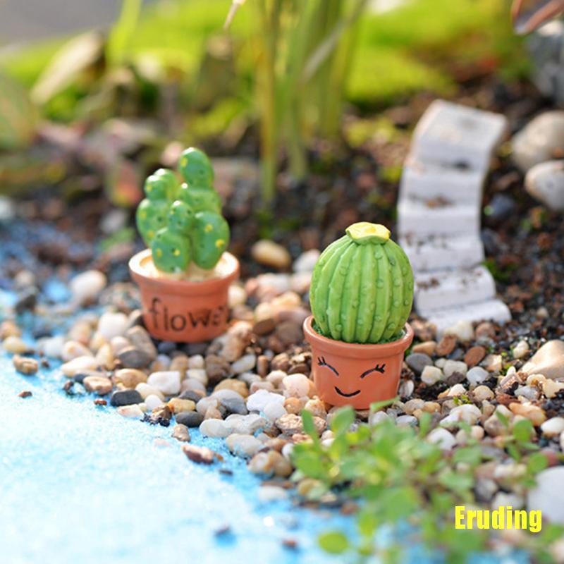 Cây Xương Rồng Mini Trang Trí Sân Vườn