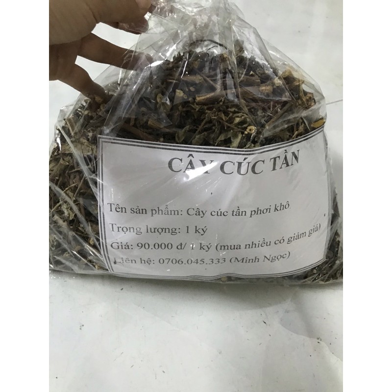 Cây cúc tần - từ bi phơi khô 1 ký