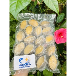 Giá sỉ - Bào ngư Abalone size 18 con/kg