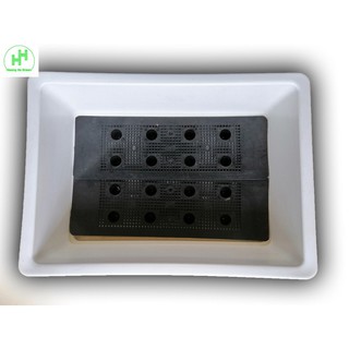 5 KHAY NHỰA TRỒNG RAU KÍCH THƯỚC 47X33X16CM - MÀU TRẮNG